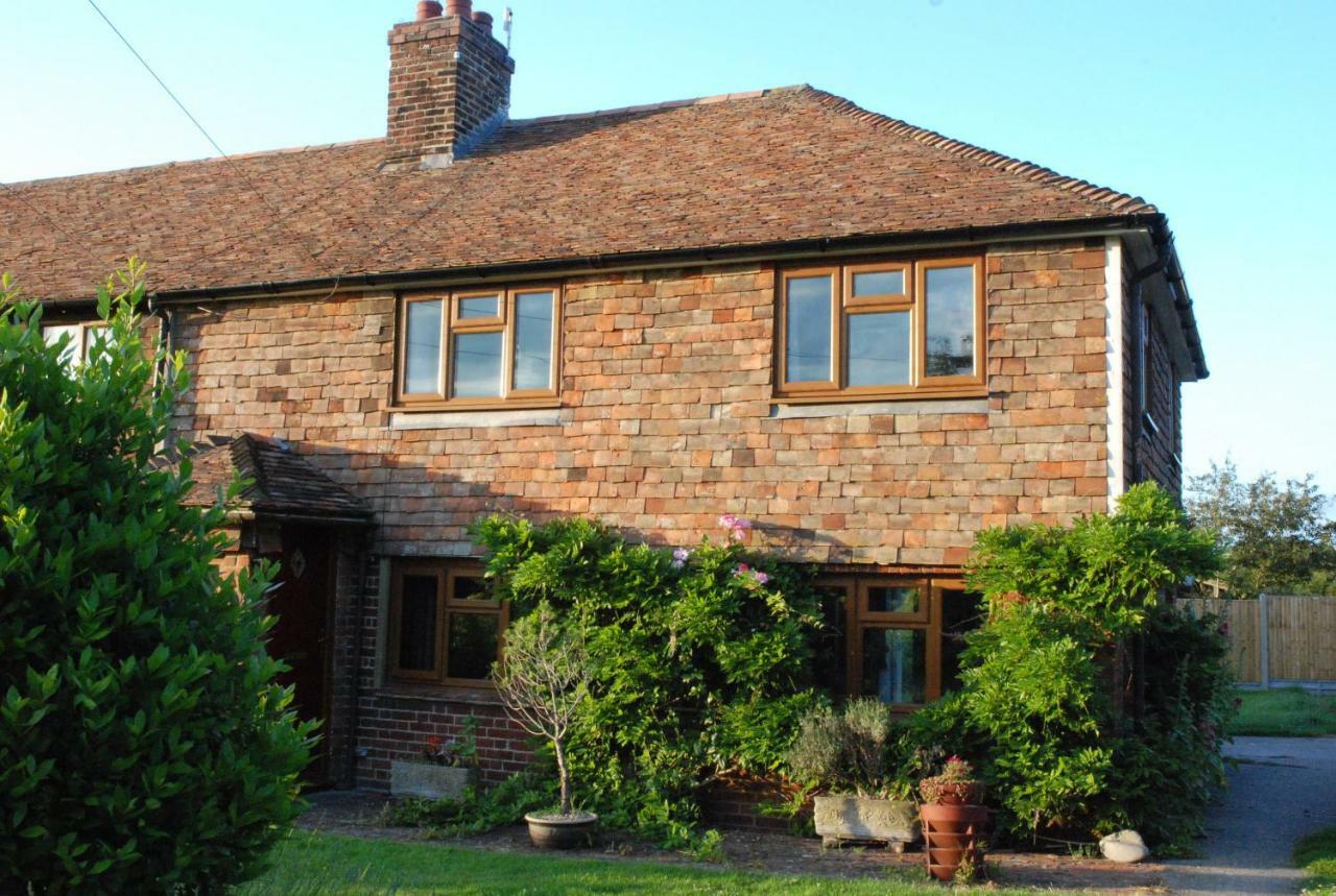 Hollyhock Cottage Ashford  Dış mekan fotoğraf